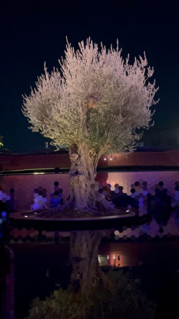 大阪万博フランス館のガーデンの写真