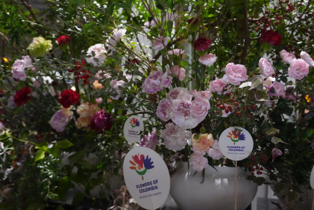 大阪万博のコロンビア館の花の写真